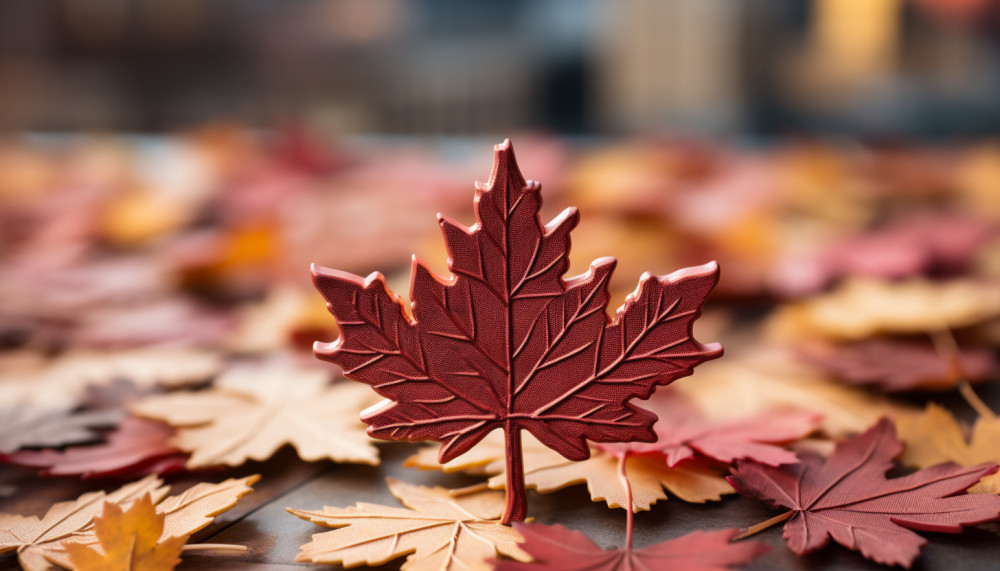 Divers - Tout savoir sur une AVE pour voyager vers le Canada